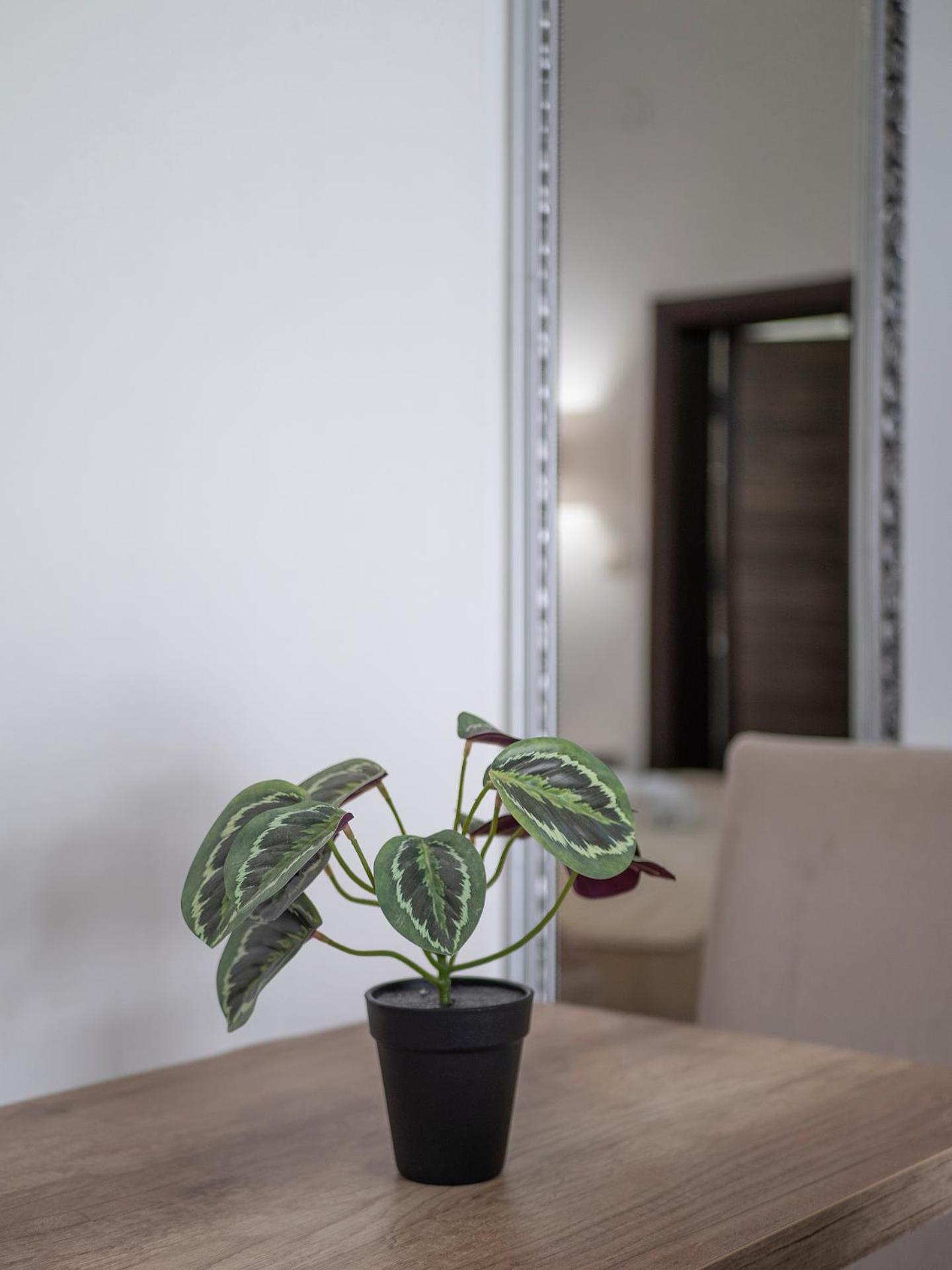 Guest house Mary 3*